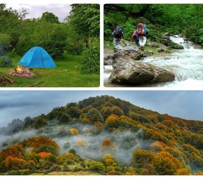 جنگل-الیمستان-–-روستای-الیمستان-–-آمل