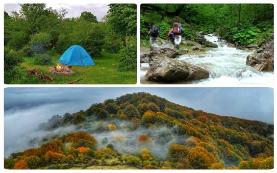 جنگل-الیمستان-–-روستای-الیمستان-–-آمل