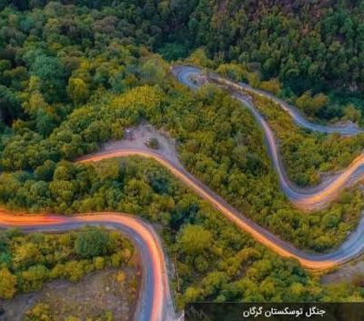 جنگل-توسکستان-–-شهرستان-گرگان