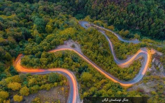 جنگل-توسکستان-–-شهرستان-گرگان