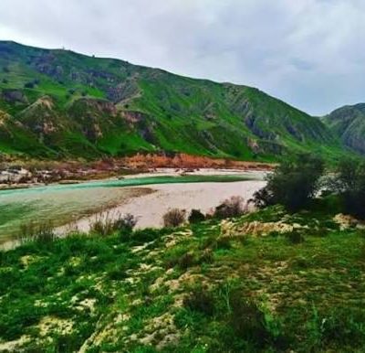 جنگل-طبیعی-بناب-–-ارسنجان