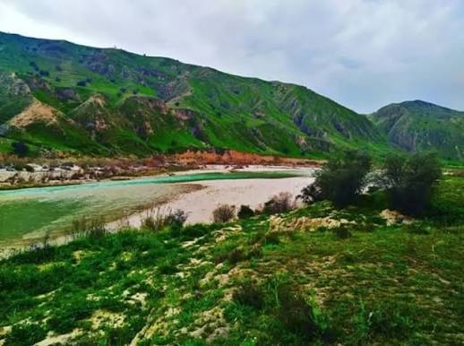 جنگل-طبیعی-بناب-–-ارسنجان