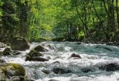 جنگل‌های-دوهزار-–-منطقه-دوهزار-–-تنکابن-1