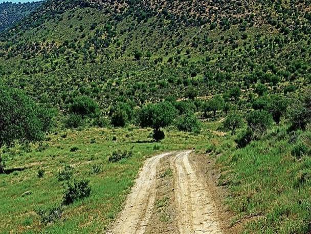 جنگل‌های-طبیعی-کرخنگان-–-خاتم