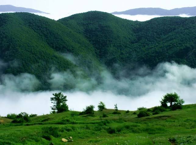 جنگل‌های-هیرکانی-لفور-–-دهستان-لفور-–-سوادکوه-شمالی