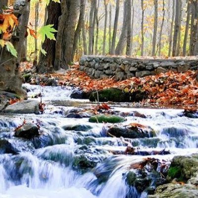 دره-گردشگری-گردو-–-اراک