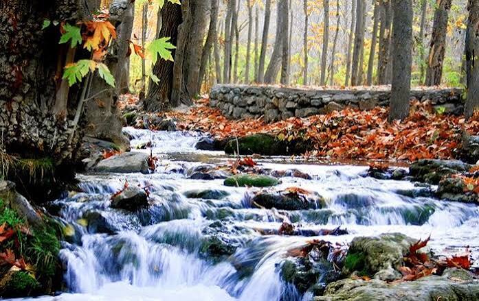 دره-گردشگری-گردو-–-اراک