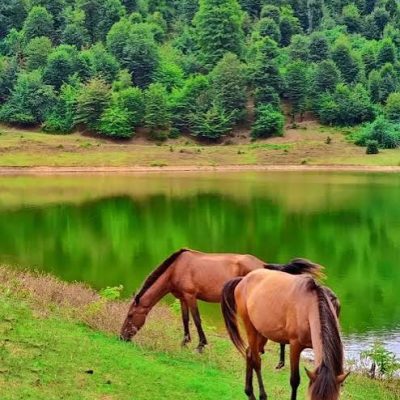 دریاچه-سراگاه-–-روستای-سراگاه-–-تالش