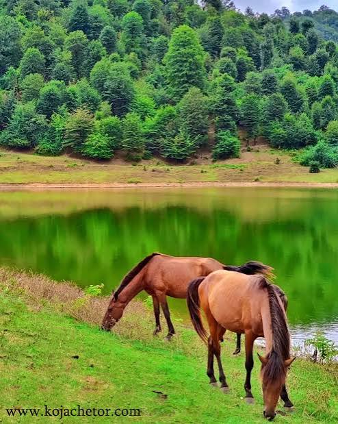 دریاچه-سراگاه-–-روستای-سراگاه-–-تالش