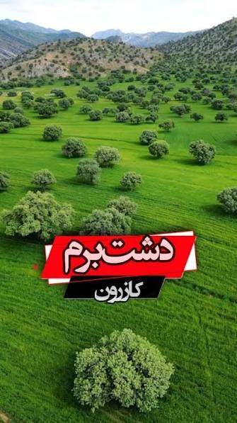 دشت-برم-و-جنگل‌های-بلوط-آن-–-کازرون