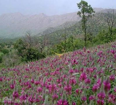 دشت-های-طبیعی-اوباتو-–-دیواندره