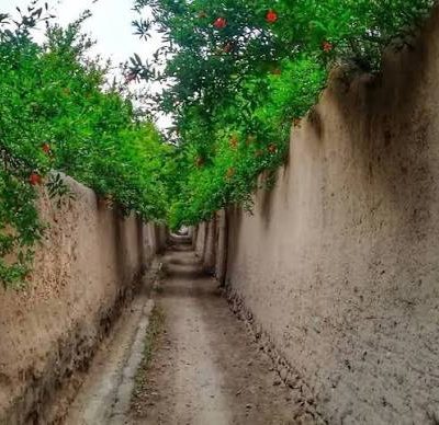 راهنمای-جامع-سفر-یک‌روزه-به-شهرستان-تفت؛-باغ‌های-انار،-روستاهای-ییلاقی،-کوهستان-شیرکوه-و-جاذبه‌های-تاریخی-یزد