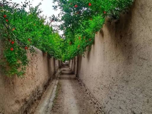 راهنمای-جامع-سفر-یک‌روزه-به-شهرستان-تفت؛-باغ‌های-انار،-روستاهای-ییلاقی،-کوهستان-شیرکوه-و-جاذبه‌های-تاریخی-یزد