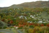 روستای-برغان-کجاست؟-معرفی-جاهای-دیدنی،-پل-تاریخی-صفوی،-چنارهای-کهنسال،-آلوی-برغان-و-مسیر-سفر-به-این-روستای-دیدنی-البرز-1