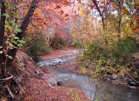 روستای-برغان-کجاست؟-معرفی-جاهای-دیدنی،-پل-تاریخی-صفوی،-چنارهای-کهنسال،-آلوی-برغان-و-مسیر-سفر-به-این-روستای-دیدنی-البرز