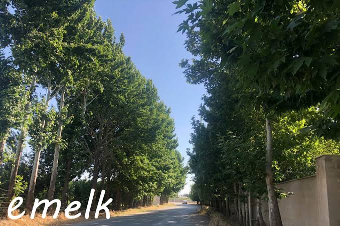 روستای-رامجین-–-شهرستان-چهارباغ