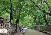 روستای-زشک-مشهد-کجاست؟-معرفی-جاهای-دیدنی،-چشمه-ها،-باغ-های-میوه-و-مسیر-سفر-به-ییلاق-بینالود-1
