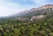 روستای-کلم-ایلام-کجاست-؟-معرفی-جاهای-دیدنی-،-رودخانه-کلم-،-چشمه-ها-،-باغ-های-سرسبز-و-آثار-تاریخی-بدره-1