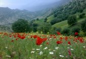 روستای-کلم-ایلام-کجاست-؟-معرفی-جاهای-دیدنی-،-رودخانه-کلم-،-چشمه-ها-،-باغ-های-سرسبز-و-آثار-تاریخی-بدره-2