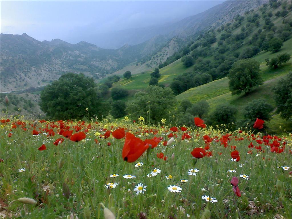 روستای-کلم-ایلام-کجاست-؟-معرفی-جاهای-دیدنی-،-رودخانه-کلم-،-چشمه-ها-،-باغ-های-سرسبز-و-آثار-تاریخی-بدره-2