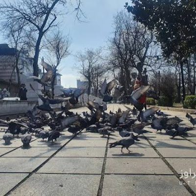 سبزه‌میدان-رشت