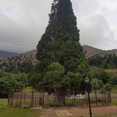 سرو-هرزویل