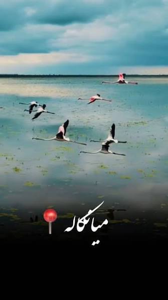 شبه‌جزیره-میانکاله-در-محدوده-شهرستان-بهشهر-–-بهشهر