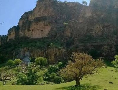 منطقه-جنگلی-دالاهو-–-ایلام