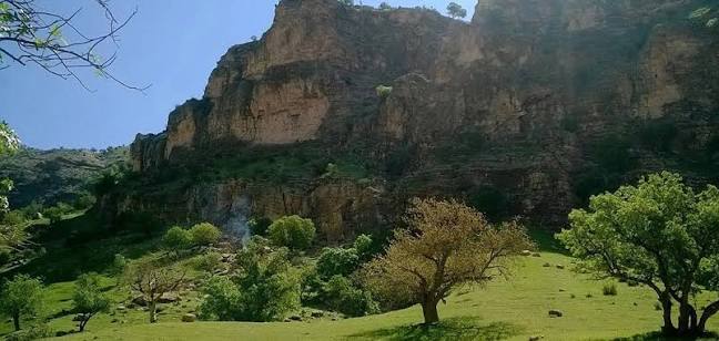 منطقه-جنگلی-دالاهو-–-ایلام