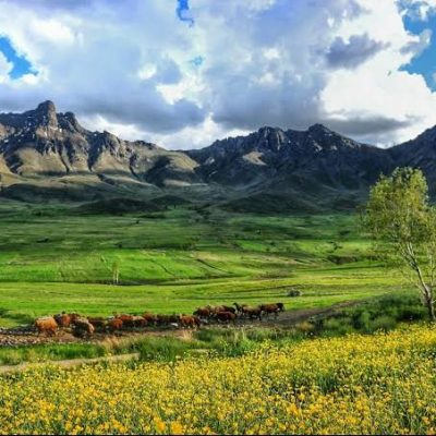 منطقه-حفاظت-شده-بدر-و-پریشان-–-جنوب-شهرستان-قروه