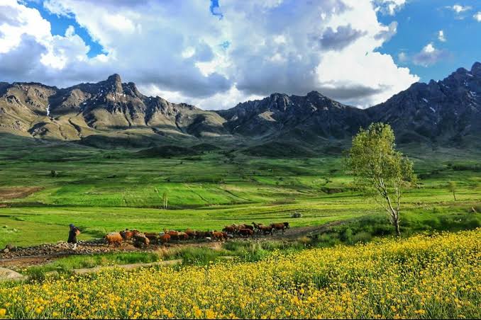 منطقه-حفاظت-شده-بدر-و-پریشان-–-جنوب-شهرستان-قروه