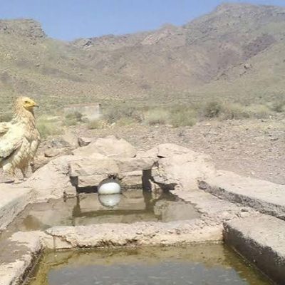 منطقه-حفاظت‌شده-بختگان-–-شهرستان-بختگان