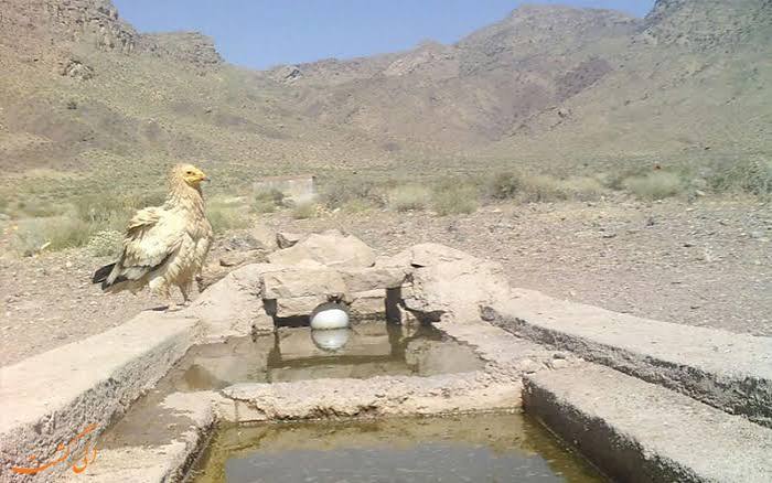منطقه-حفاظت‌شده-بختگان-–-شهرستان-بختگان