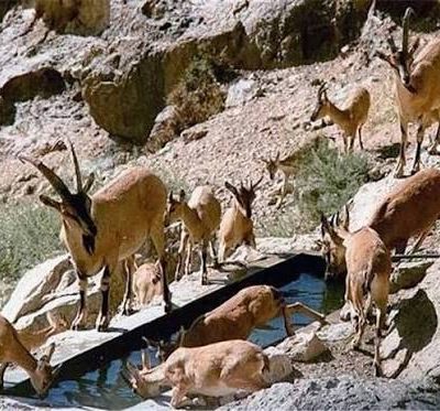 منطقه-حفاظت‌شده-هفتاد-قله-–-محدوده-شهرستان-اراک