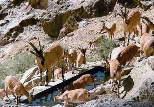 منطقه-حفاظت‌شده-هفتاد-قله-–-محدوده-شهرستان-اراک