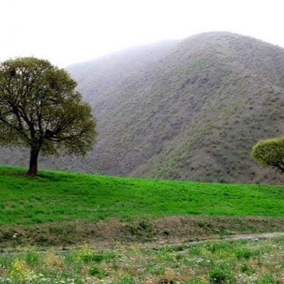 منطقه-طبیعت-گردی-سارال-–-دیواندره