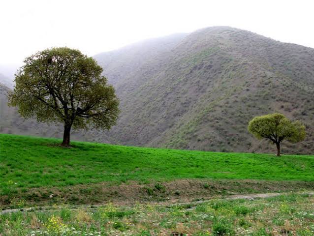 منطقه-طبیعت-گردی-سارال-–-دیواندره