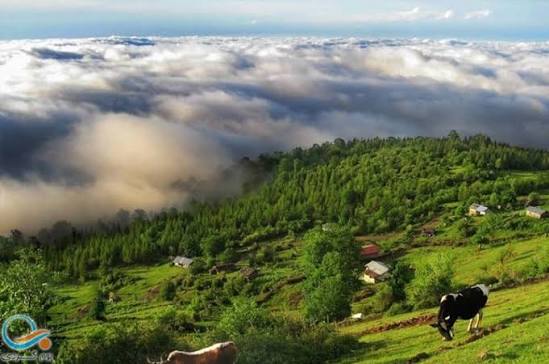 منطقه-کوهستانی-ونداربن-–-کلاردشت