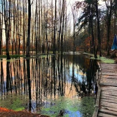 پارک-جنگلی-بندر-کیاشهر-–-کیاشهر-–-آستانه-اشرفیه