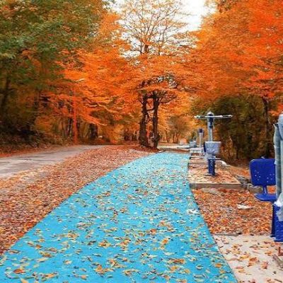 پارک-جنگلی-تلار-–-قائم‌شهر