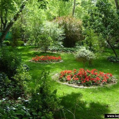 پارک-جنگلی-سکوتپه-شهید-نوبخت-–-ساری