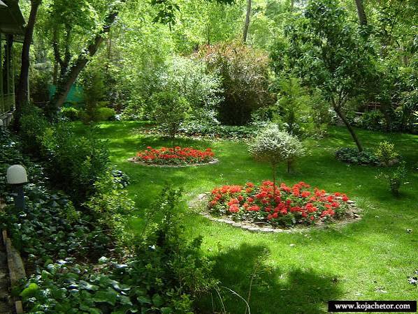 پارک-جنگلی-سکوتپه-شهید-نوبخت-–-ساری