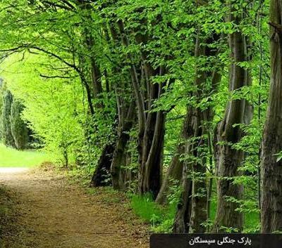 پارک-جنگلی-سی‌سنگان-–-نوشهر