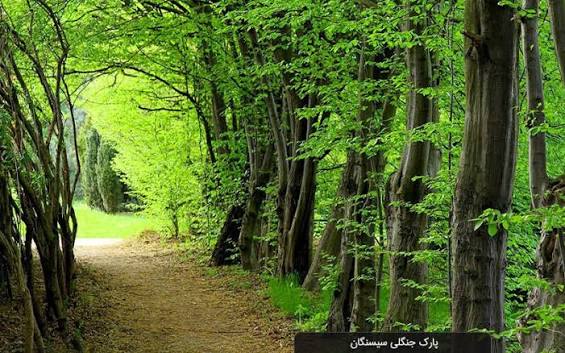 پارک-جنگلی-سی‌سنگان-–-نوشهر