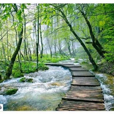 پارک-جنگلی-ناهارخوران-–-گرگان
