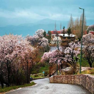 پارک-جنگلی-و-مجموعه-تفریحی-آبیدر-–-سنندج