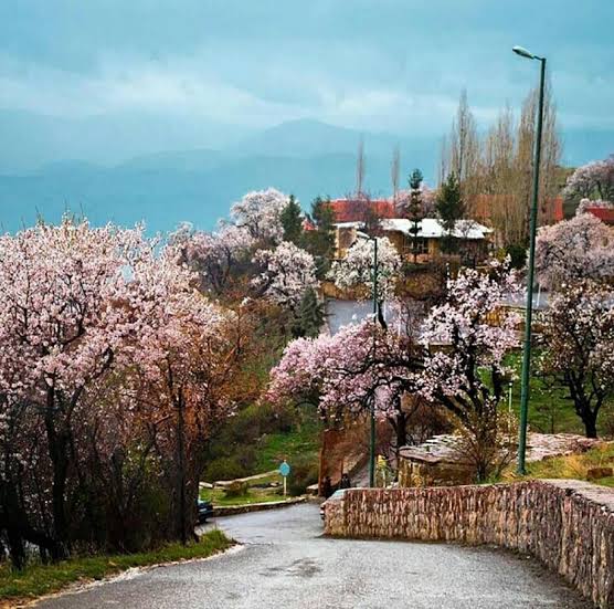 پارک-جنگلی-و-مجموعه-تفریحی-آبیدر-–-سنندج