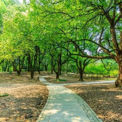 پارک-جنگلی-و-منطقه-گردشگری-توسکاچشمه-–-گلوگاه