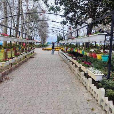 پارک-ساحلی-لاله-–-فریدون‌کنار