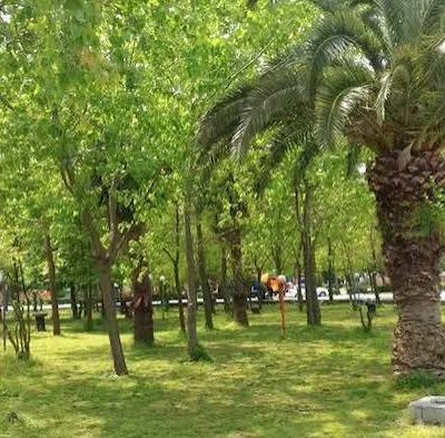 پارک-ساحلی-ملت-–-شهر-محمودآباد-–-شهرستان-محمودآباد